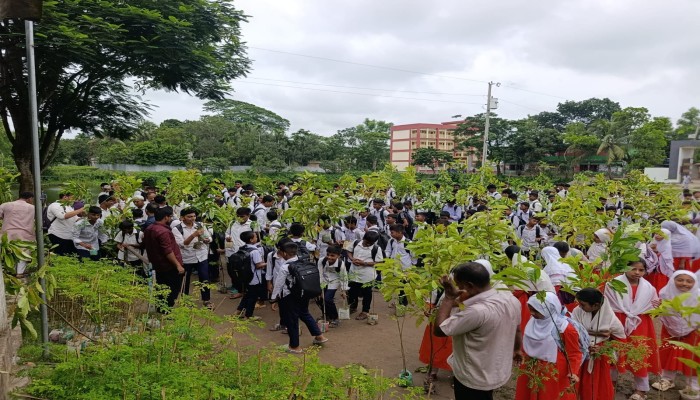 ফলদ ও ঔষধী গাছের চারা পেলো ৬০০ শিক্ষার্থী