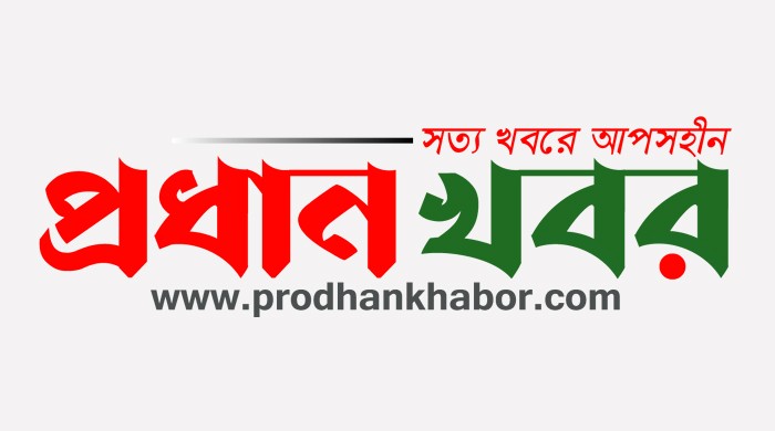 দাউদকান্দির দৌলতপুর থেকে এক ছিনতাইকারী আটক